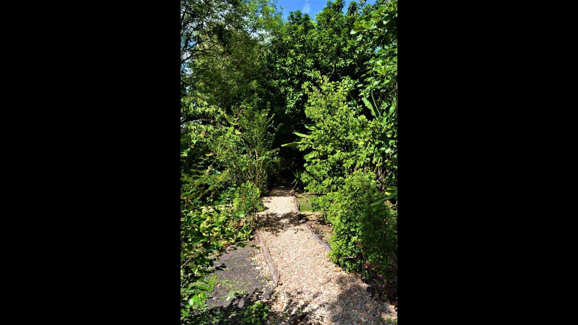 Iguana Roost Tourism Gold Standard Fully Equipped Two Bedroom Cabin San Ignacio Luaran gambar