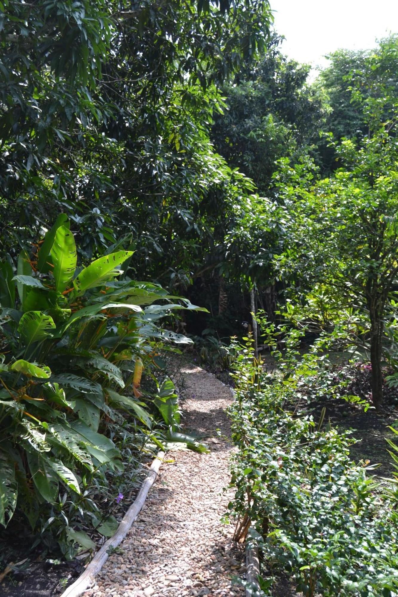 Iguana Roost Tourism Gold Standard Fully Equipped Two Bedroom Cabin San Ignacio Luaran gambar