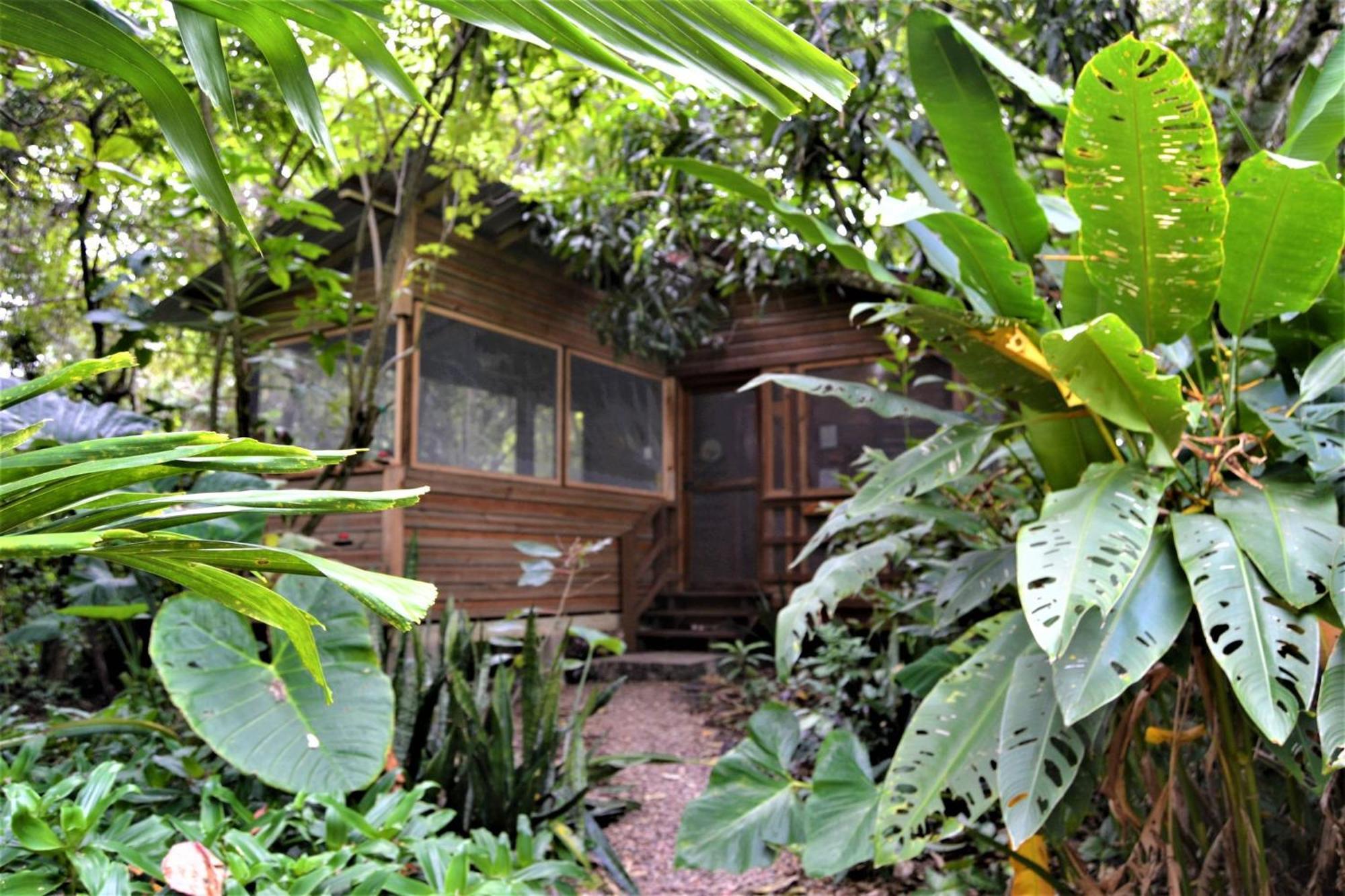 Iguana Roost Tourism Gold Standard Fully Equipped Two Bedroom Cabin San Ignacio Luaran gambar