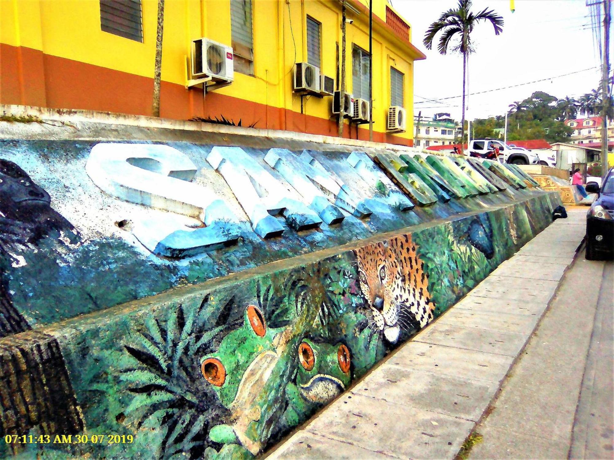 Iguana Roost Tourism Gold Standard Fully Equipped Two Bedroom Cabin San Ignacio Luaran gambar